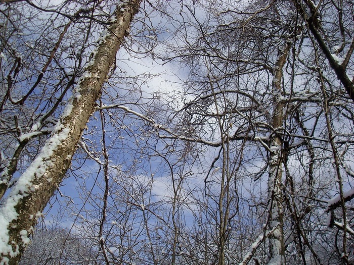 dsc06745.jpg