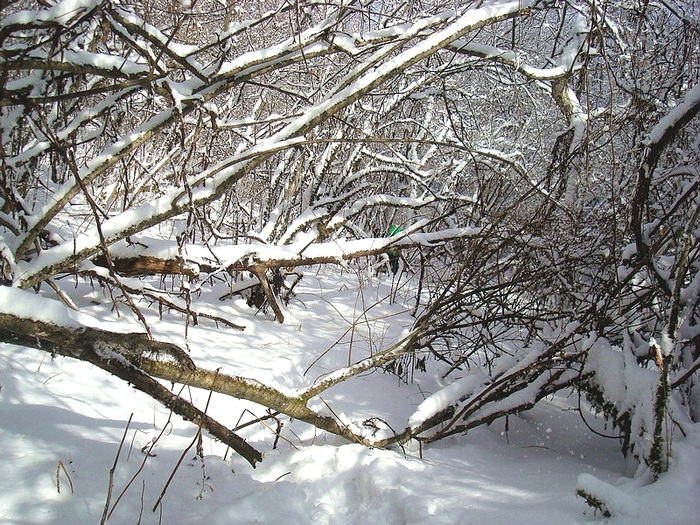 dsc06750.jpg