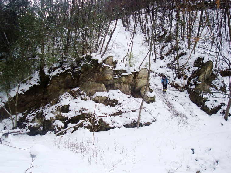 dsc06767.jpg