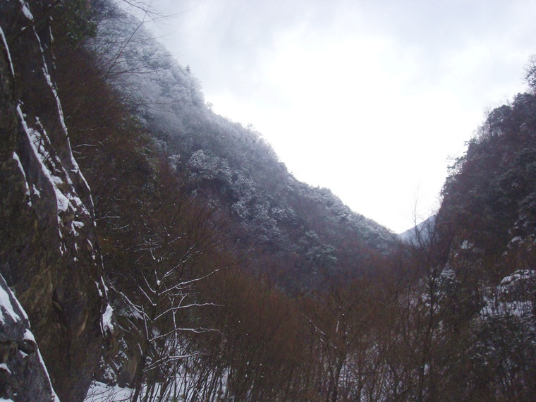 dsc06775.jpg