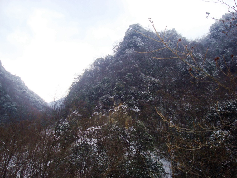 dsc06776.jpg