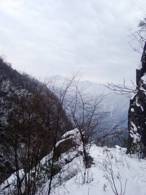 dsc06783.jpg