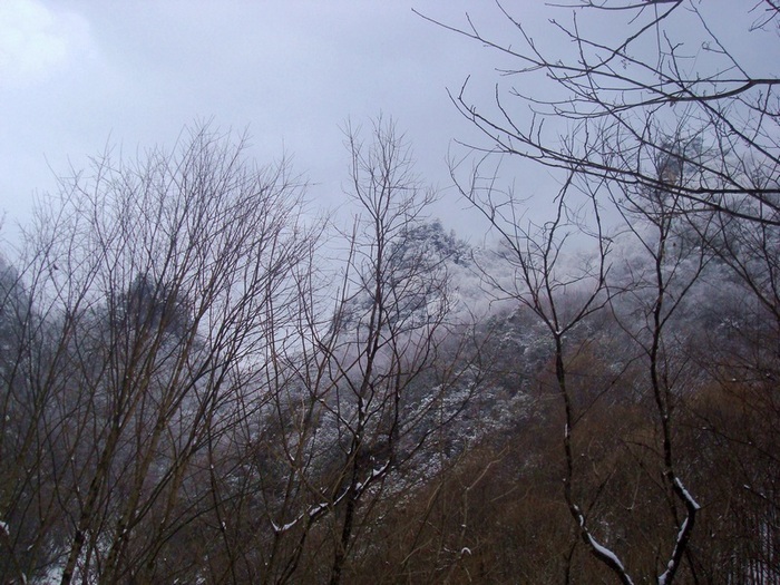 dsc06757.jpg