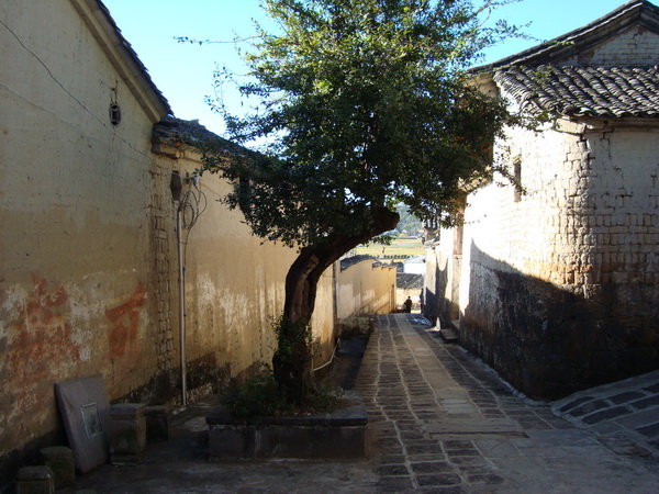dsc07509_СС.jpg