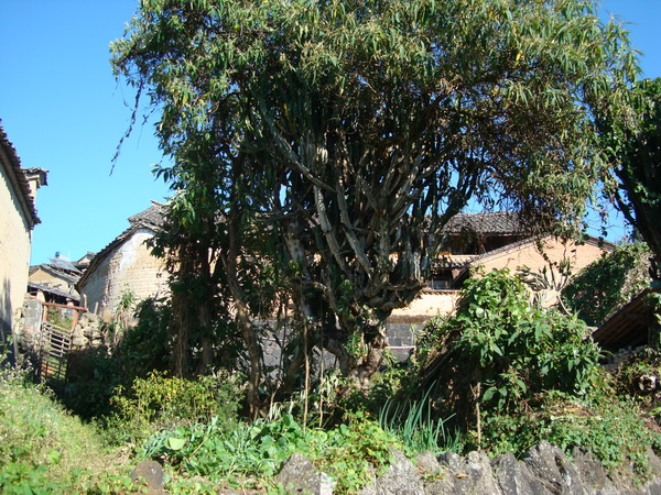 dsc07498_СС.jpg