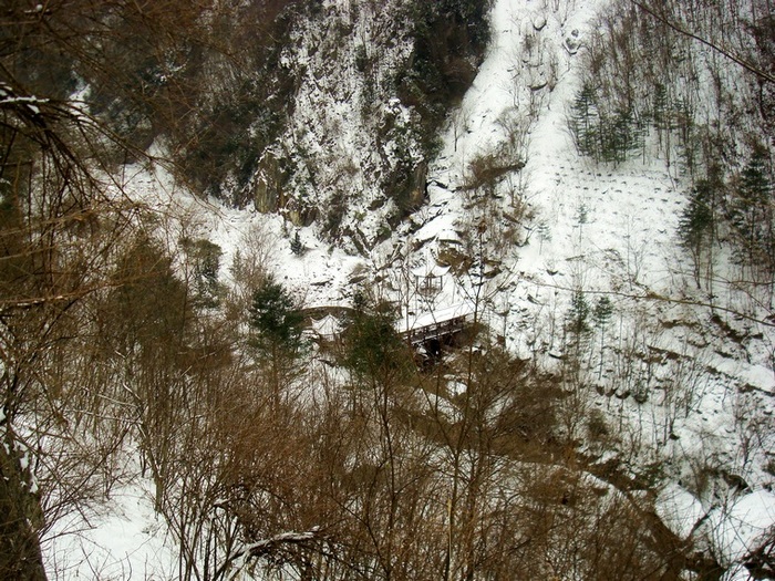 dsc06816.jpg
