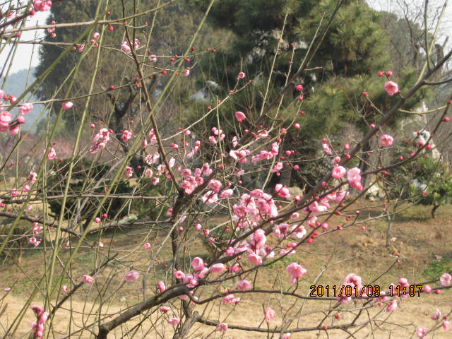 img_1259.jpg