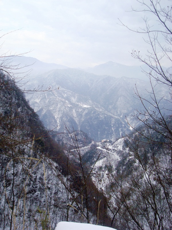 dsc06805.jpg