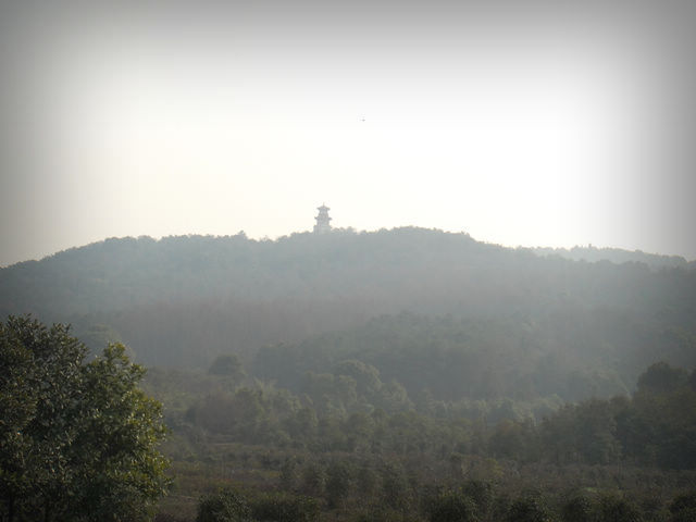 dsc04060.jpg