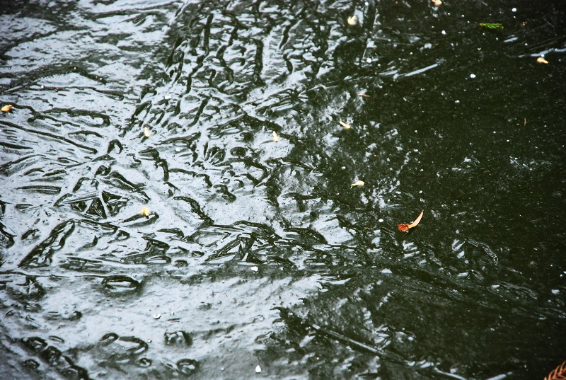 dsc_0069.jpg