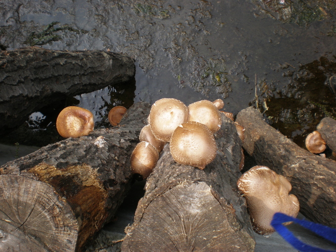 20111007_111337_11.jpg