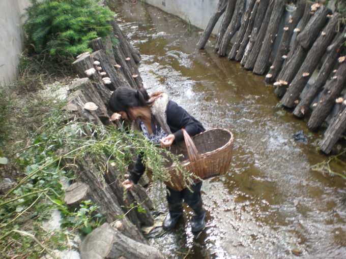 20111007_111328_10.jpg