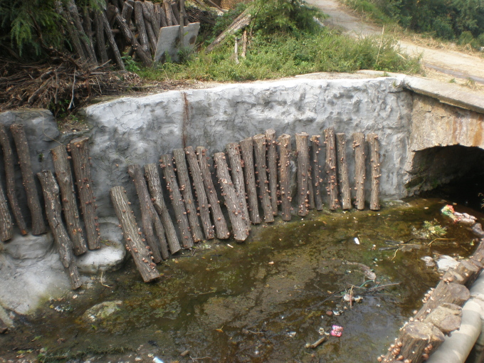 20111007_111420_14.jpg