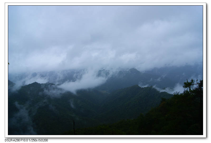 dsc09873.jpg