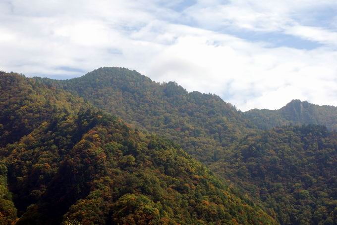 С dsc_0203.jpg