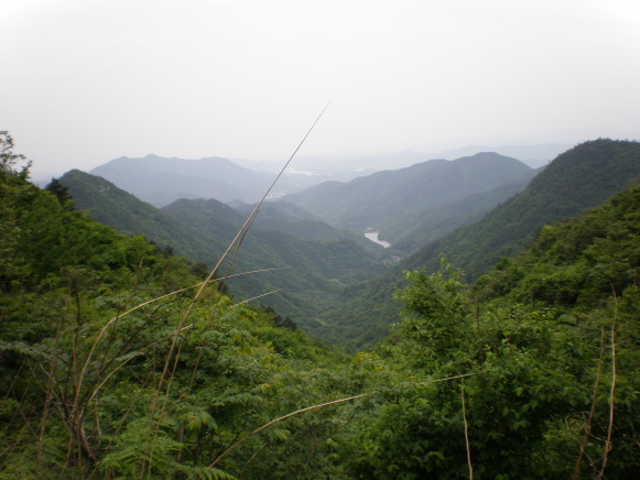 2009050520090505_20090505_21.jpg