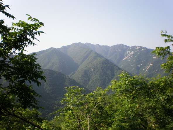 2009050620090506_20090506.jpg