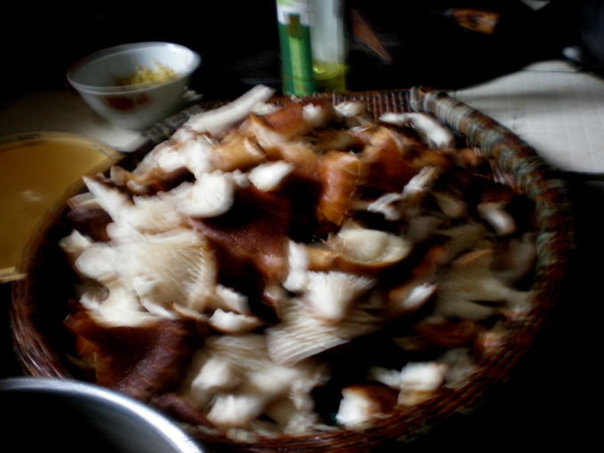 20111007_115842_28.jpg