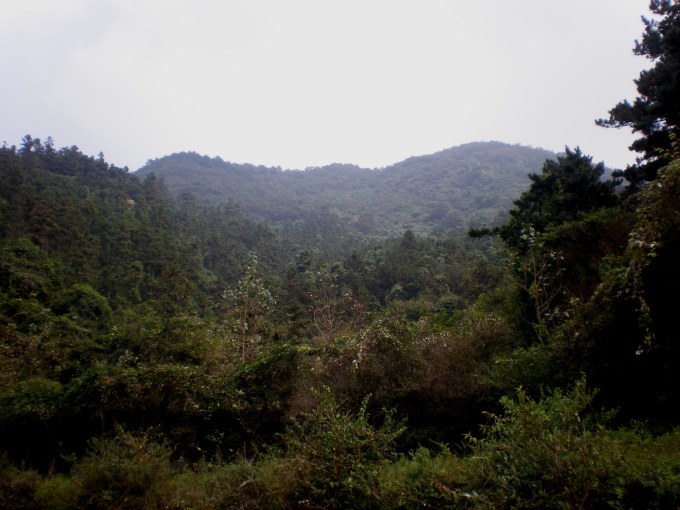20111007_133342_49.jpg