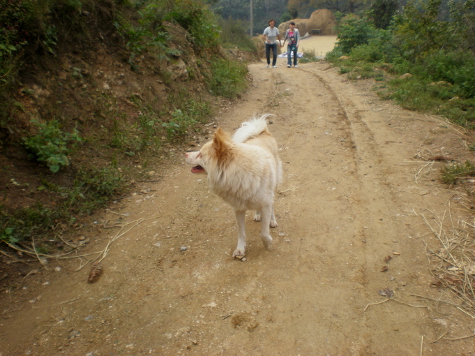 20111007_132334_44.jpg