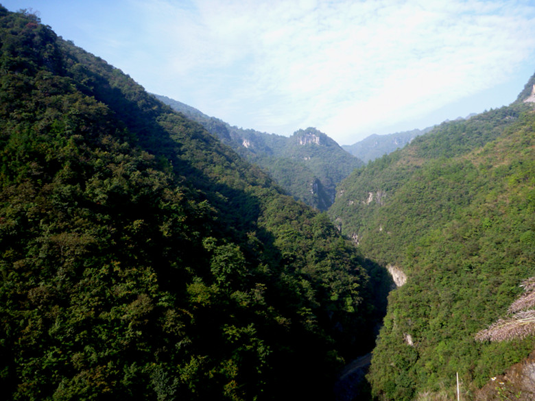 p1080532_.jpg