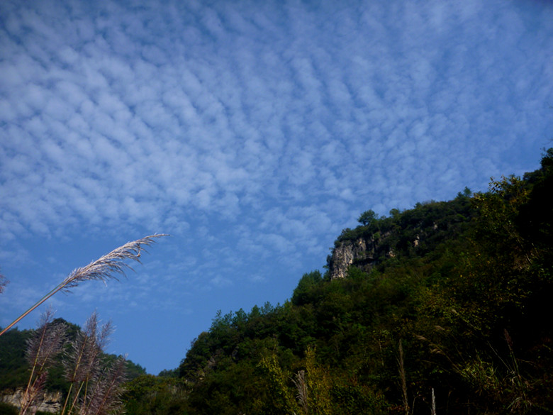 p1080533_.jpg