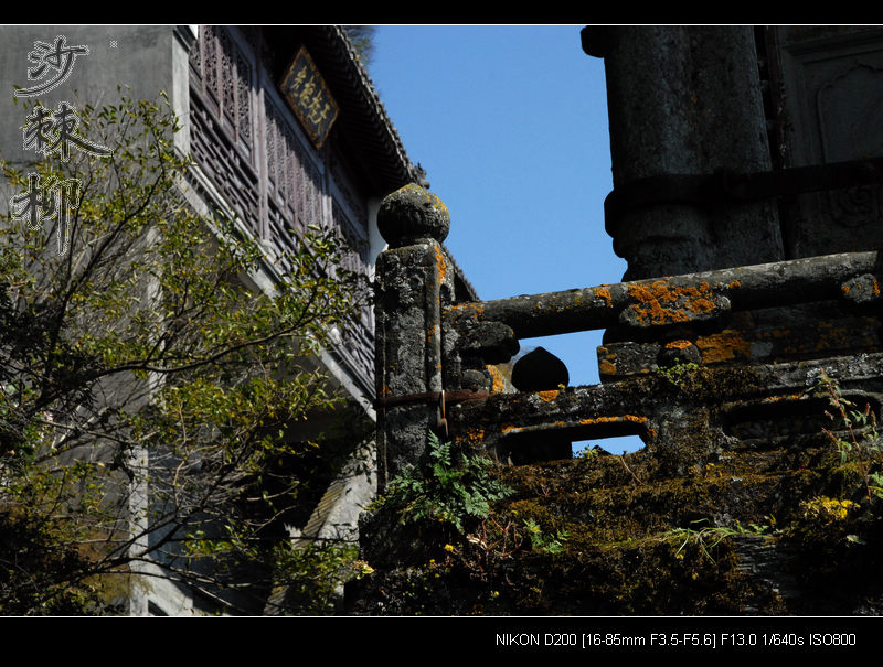 dsc_0073.jpg