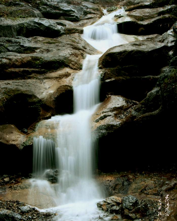 080412z51x41cm.jpg