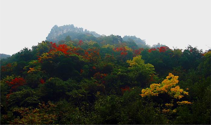 071026ww.jpg