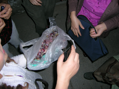 2011.10.10 no9.png