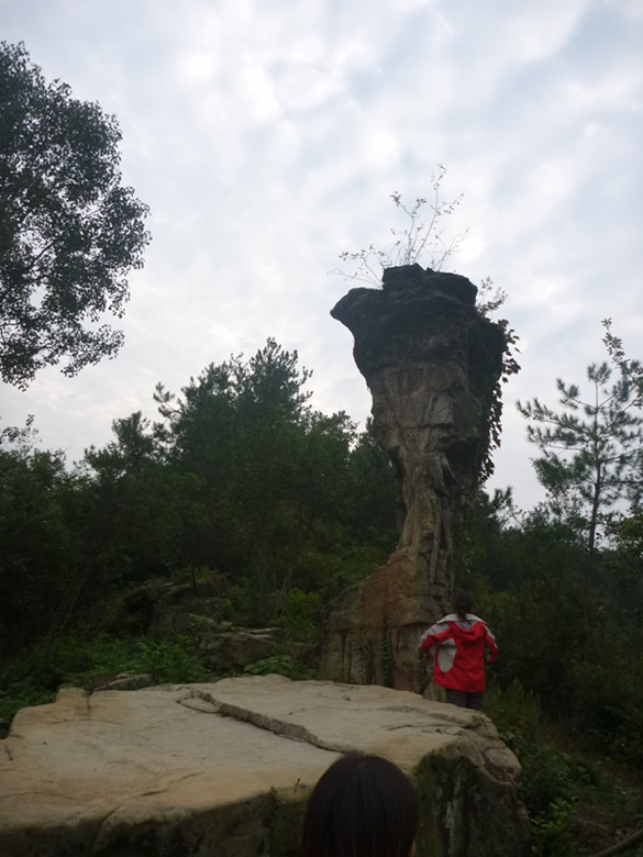 p1080505_.jpg