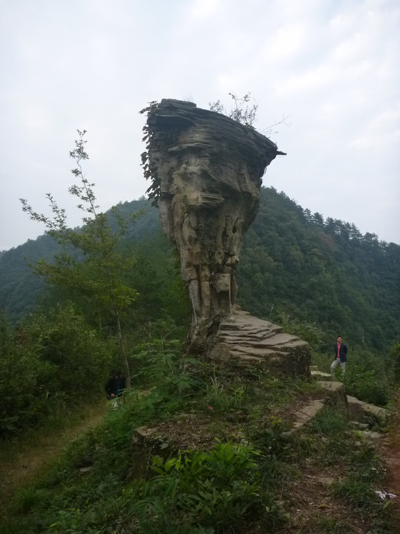 p1080507_.jpg