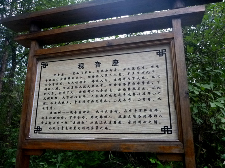 p1080504_.jpg