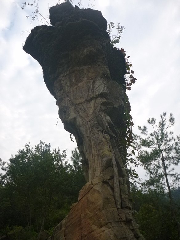 p1080508_.jpg
