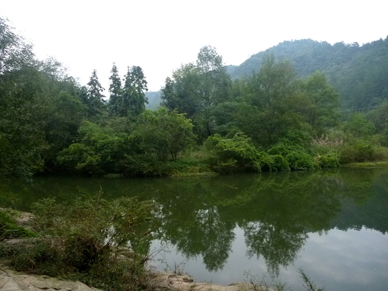 p1080513_.jpg