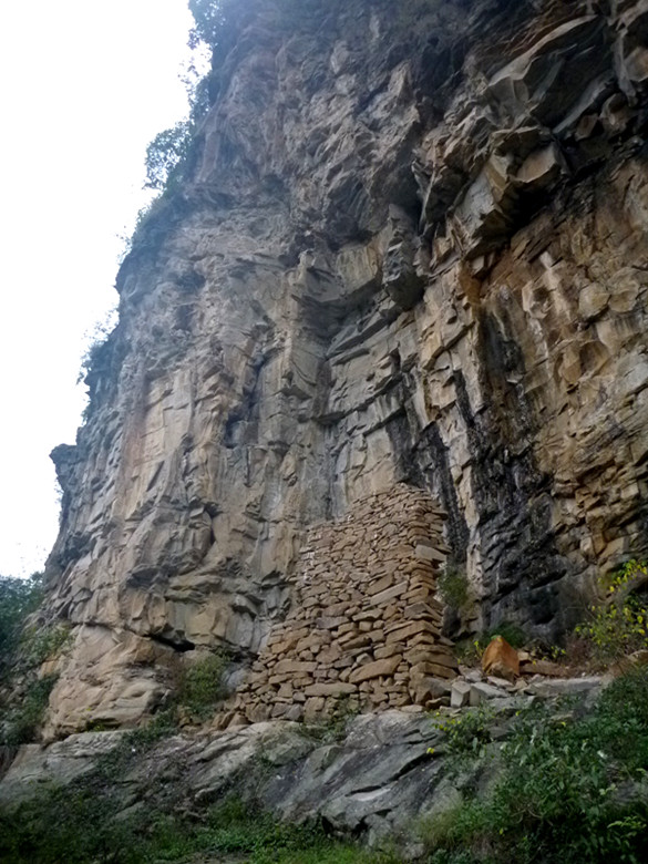 p1080515_.jpg