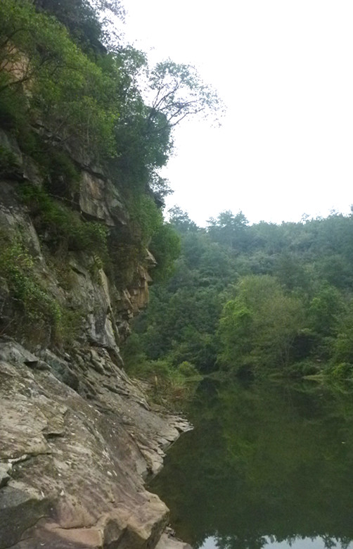 p1080517_.jpg