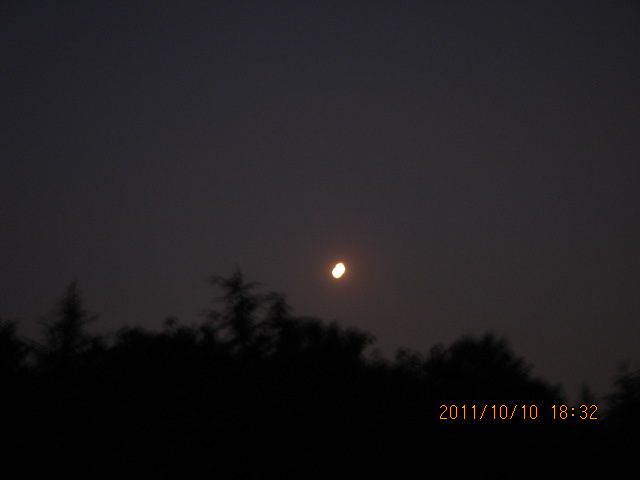 img_4741.jpg