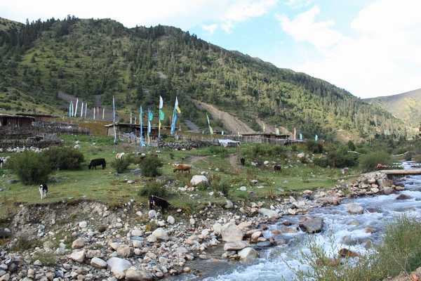 2011825916λ֮- 288.jpg