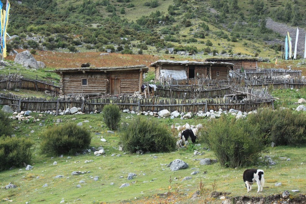 2011825916λ֮- 286.jpg