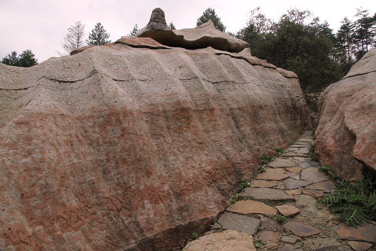 z119.jpg