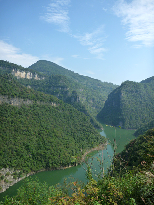 p1080600_.jpg