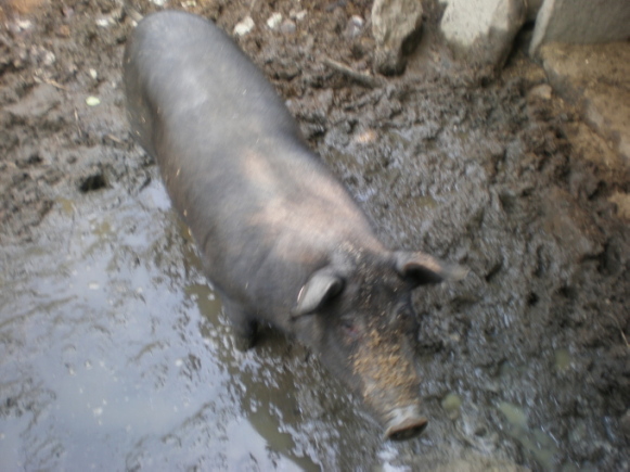 20111007_143921_74.jpg