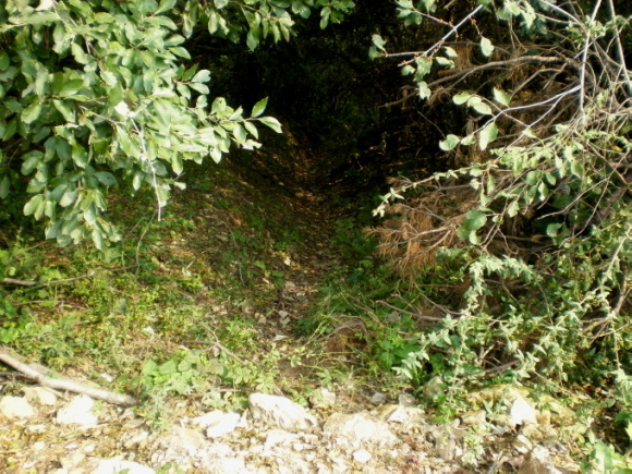 20111007_141245_55.jpg