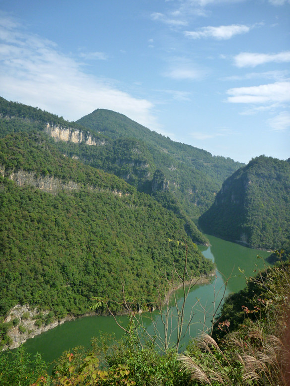 p1080614_.jpg