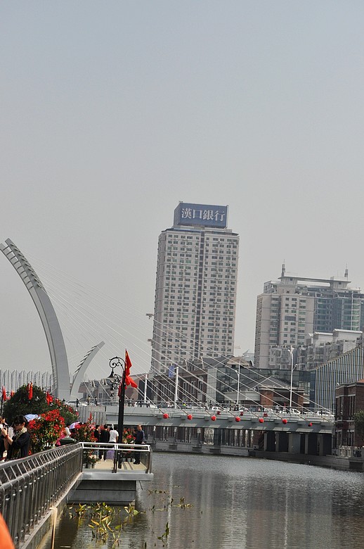 dsc_0303.jpg