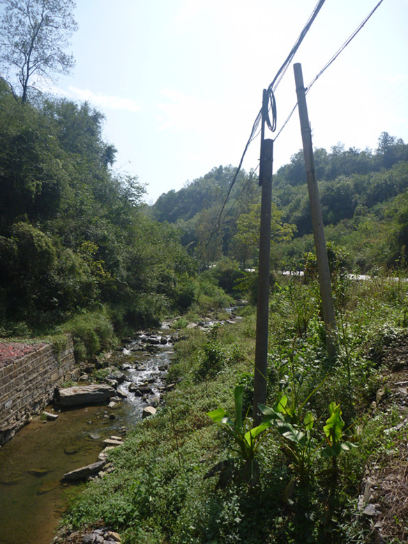 p1080621_.jpg