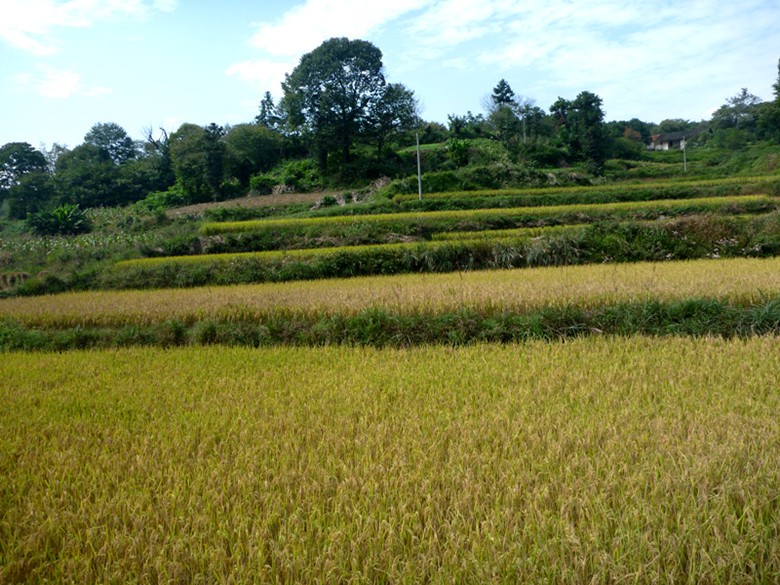 p1080619_.jpg