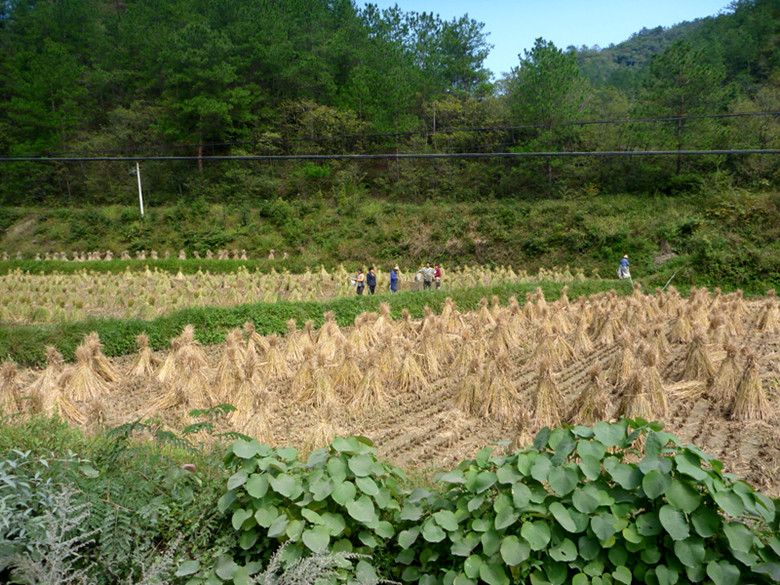p1080617_.jpg