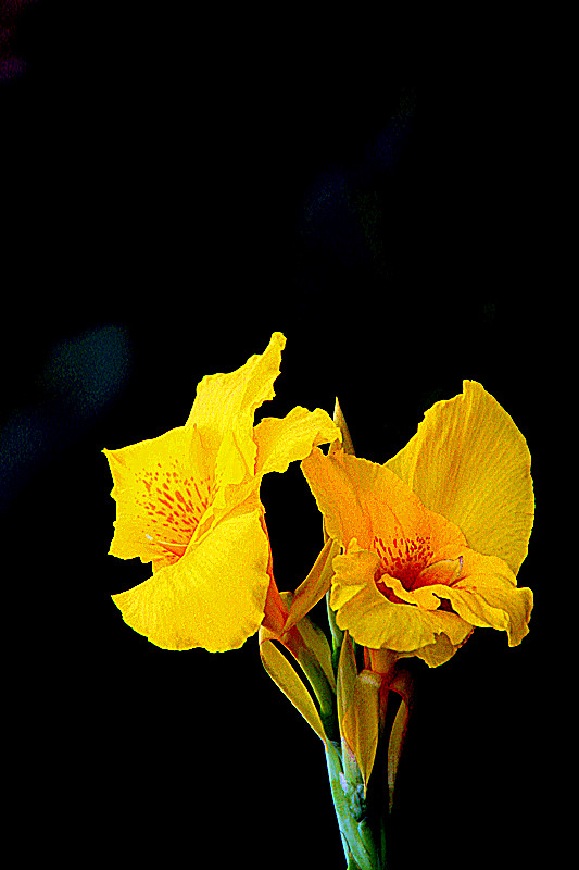 img_0072_.jpg